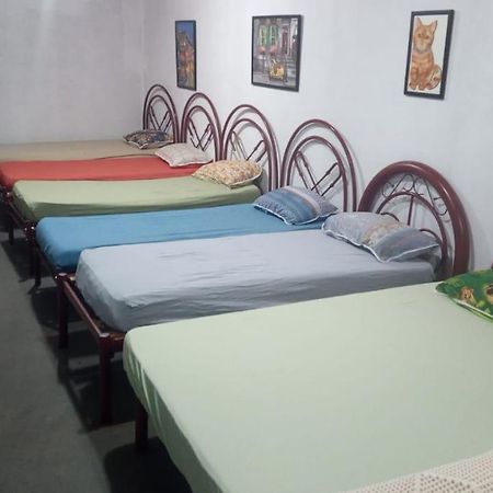 Hostel Santuario De Protecao Animal Filhos De Salomao Braganca Paulista Exterior photo